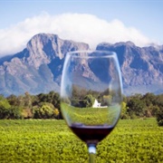 South African Wine