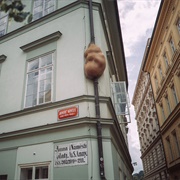 David Černý's Embryo