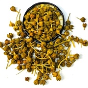 Fringed Rue (Ruta Chalepensis)