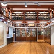 Grant Museum of Zoology