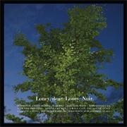 Loney Dear - Loney, Noir