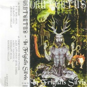 Drutentus - In Frigidis Silvis