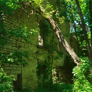 Kelleys Island Winery Ruins