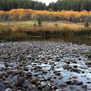 Cypress Hills Interprovincial Park