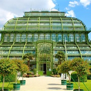 Palmenhaus