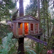 Treehouse Point
