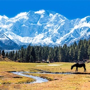 Nanga Parbat/Diamir (Pakistan)