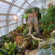 Schmetterlinghaus, Austria