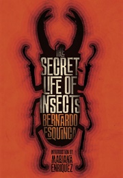 The Secret Life of Insects, and Other Stories (Bernardo Esquinca)