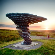 The Singing Ringing Tree