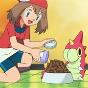 297. Which Wurmple's Which?