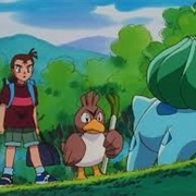 49. So Near, Yet So Farfetch'd