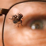 Breaking Bad: "Fly" (S3,E10)