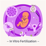 IVF, or in Vitro Fertilisation