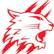 Swindon Wildcats