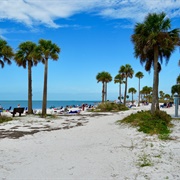 Fred Howard Park (Florida)