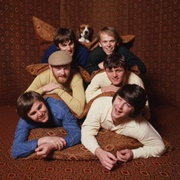 The Beach Boys