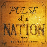 Ben Levin Group - Pulse of a Nation