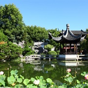 Lan Su Chinese Garden, Portland
