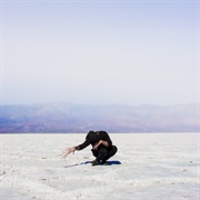 The Oxford Coma – Everything Out of Tune