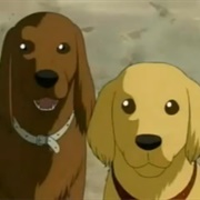 S17.E10: The Famous Dog's Cool Achievement