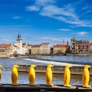 The Penguins at Kampa Park