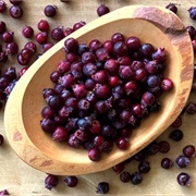 Serviceberries