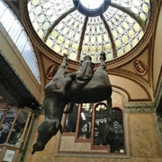 King Wenceslas Riding an Upside-Down Dead Horse