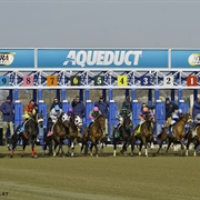 See the Wood Memorial