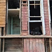 Midland City Station