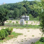 The Graves of Robert E. Lee's Garden