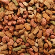 Cat Food