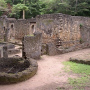 The Historic Town and Archaeological Site of Gedi