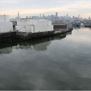Greenpoint Oil Spill
