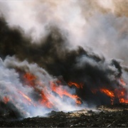 2001 United Kingdom Foot-And-Mouth Outbreak