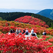 Katsuragi, Nara, Japan