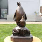 Penguins at the St. Louis Zoo