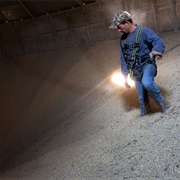 Trapped in a Grain Silo