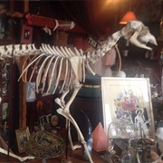 Salmagundi West (Permanently Closed)