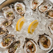 Southern Mud Oyster (Ostrea Angasi)