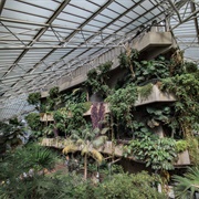 Barbican Conservatory