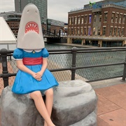 Shark Girl, Buffalo