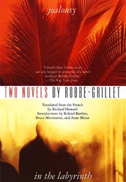 Two Novels: Jealousy/In the Labyrinth (Alain Robbe-Grillet)
