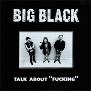 The Incredibly Corporate Whorish Big Black Interview Album