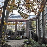 Hortus Botanicus, Amsterdam, the Netherlands