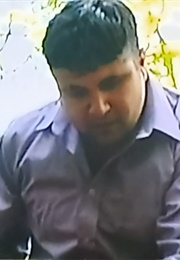 Wildlife (Nick Allsop) (2005)