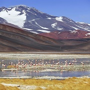 Monte Pissis, Argentina