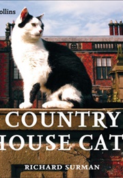 Country House Cats (Richard Surman)