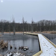 Troy Wetlands