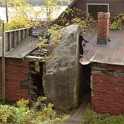 The Rock in the House